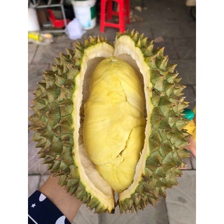 85K/kg Sầu Riêng Thái (Dona) Bao Ăn 100%