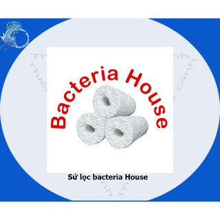 Sứ thanh tròn Bacteria House Porpoise kích thước 16cm x 5cm