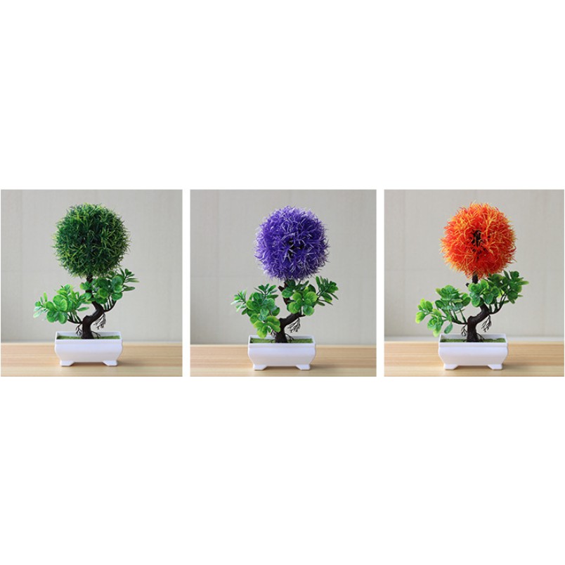 Combo 3 chậu hoa tú cầu trang trí