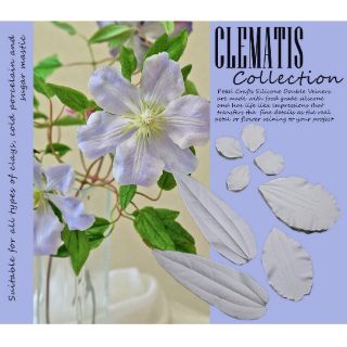 Clematis - Khuôn vân nhựa dẻo hoa đất lấy vân 2 mặt