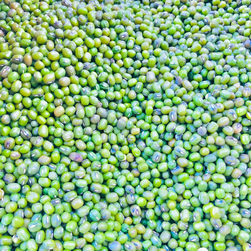 500 Gram đậu xanh nguyên hạt