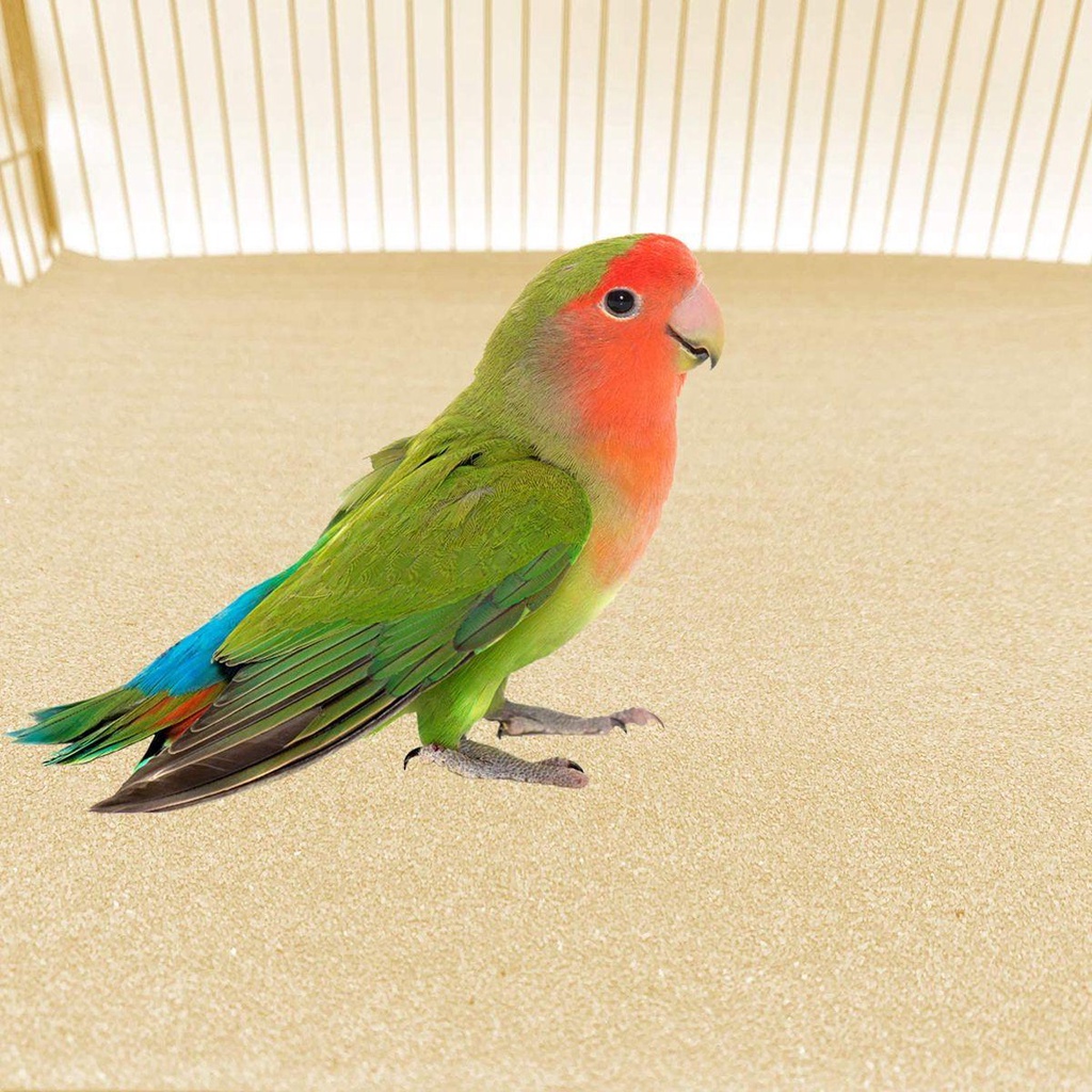 Giấy Lót Giường An Toàn 11X17 inch