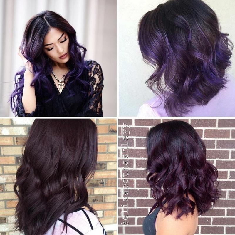 Kem Thuốc Nhuộm Tóc Màu Đen Tím Lên Màu Từ Nền Base Đen Tự Nhiên Dark Violet Hair Dye Cream