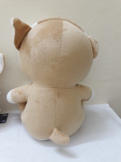 Gấu brown đội mũ cáo (ảnh thật)