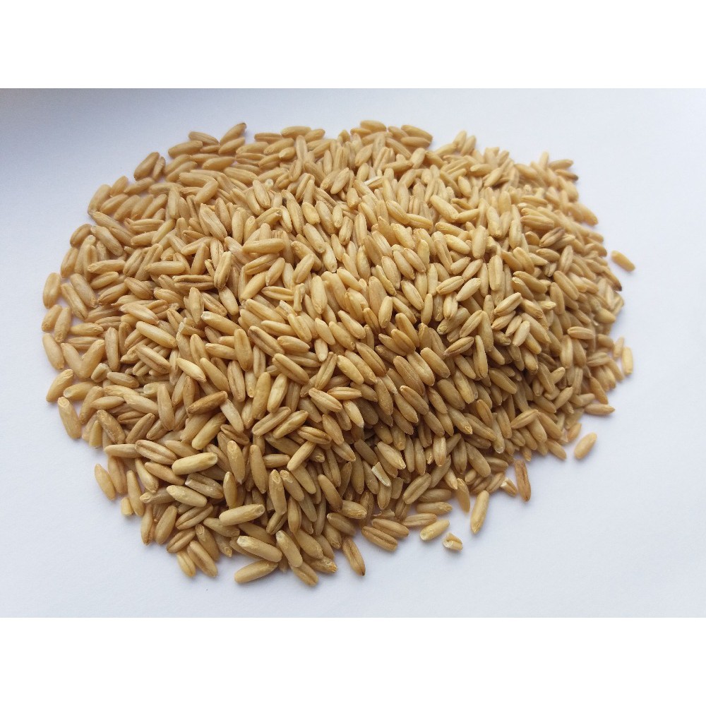 Yến Mach nguyên hạt