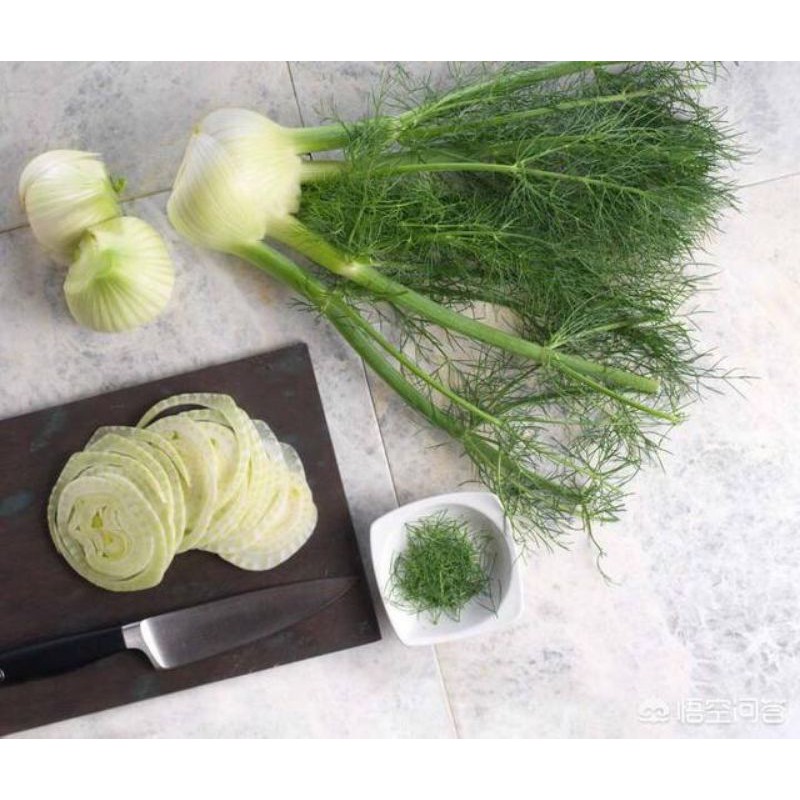 Hạt thì là thì là 100 h