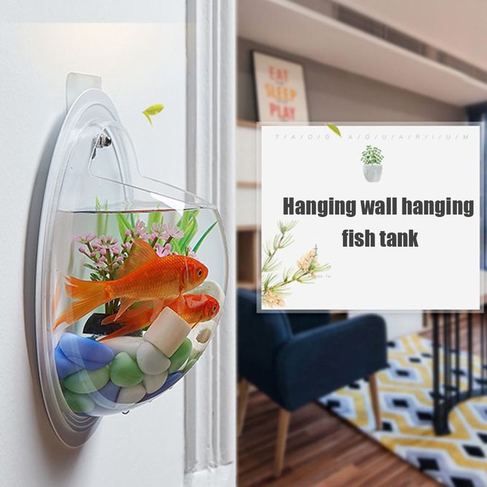 Bể cá treo tường trang trí bằng chất liệu Acrylic trong suốt