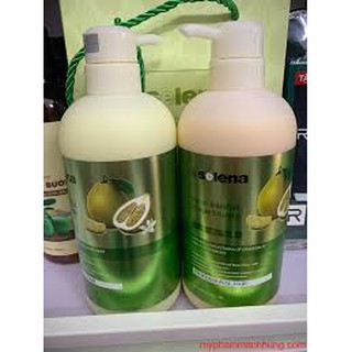 Dầu gội bưởi organic bộ dầu gội dầu xả bưởi giảm rụng tóc phục hồi hư tổn selena 800ml