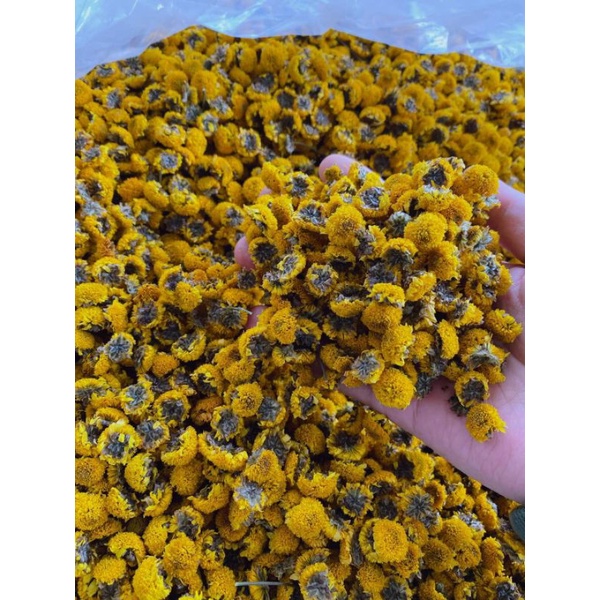 TRÀ HOA CÚC CHI SẤY LẠNH 100G sạch thơm