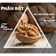 [Combo 2 bịch] Hạt Óc Chó Vàng Hartley Mỹ - 1Kg (Tặng Kìm Kẹp Tách Vỏ Chuyên Dụng) RẤT TÔT CHO THAI PHỤ