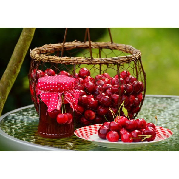 Hạt Giống Qủa Anh Đào / Cherry (5 Hạt) -Thơm Ngon, Bổ Dưỡng, Giàu Vitamin - MUA 3 TẶNG 1 CÙNG LOẠI