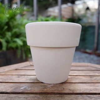 Combo 10 chậu đất nung ( 6x6,5cm)