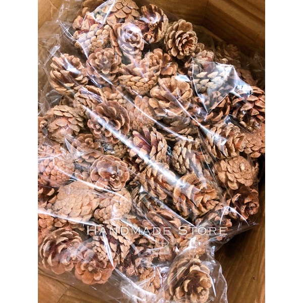 Quả thông Giáng sinh