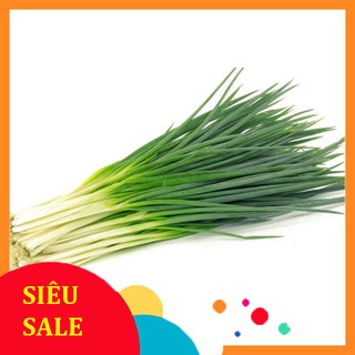 Hạt giống hành hoa gói 5gam - Chính hãng