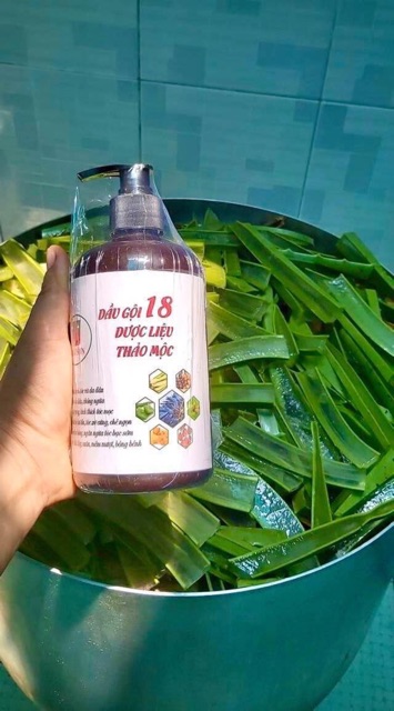 Combo 10 chai nhựa 500ml vòi nhấn màu nâu, xanh lá, trong suốt