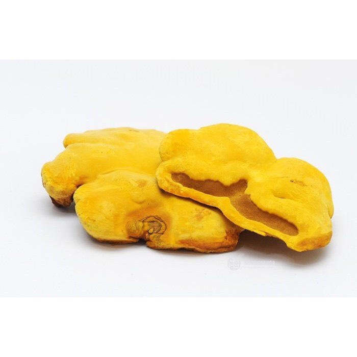 Nấm Thượng Hoàng Vàng Cao Cấp Hàn Quốc, Khay 500g