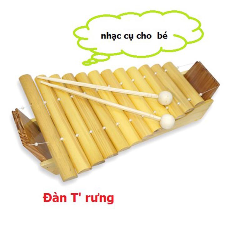 Đàn T 'Rưng cho bé