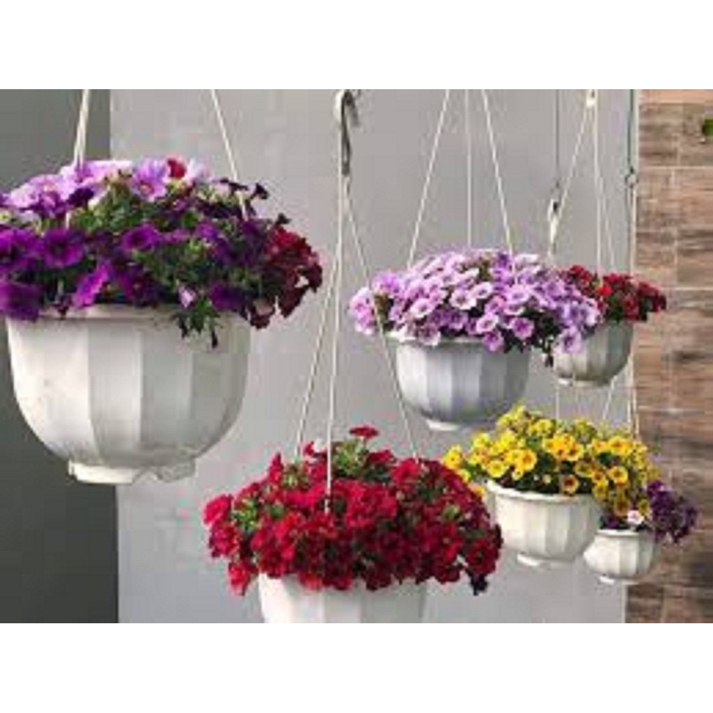 Bộ 15 chậu trồng hoa có móc treo hình bí ngô - Size 22 x16 cm + Tặng  phân hữu cơ cao cấp