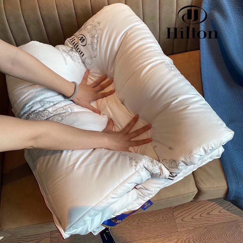 Ruột chăn lông vũ HILTON