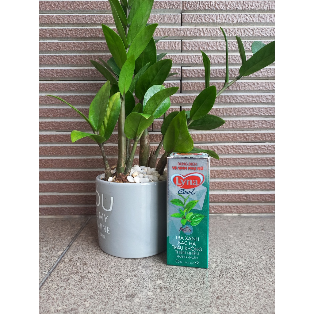 COMBO5-Dung dịch vệ sinh trầu không bạc hà trà xanh NYNA. DDVS chiết xuất lá trầu không, dung dịch vệ sinh phụ nữ