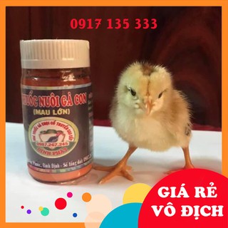Nuôi Gà Con Mau Lớn