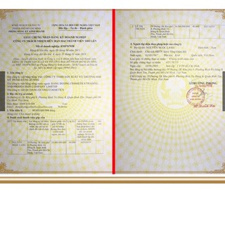 Lẻ 01 hủ kem nghệ thorakao 7g