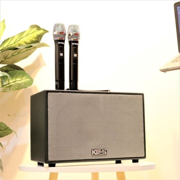 Loa karaoke Mini ACNOS CS250PU