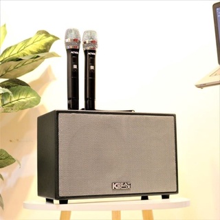 Loa karaoke mini acnos cs250pu