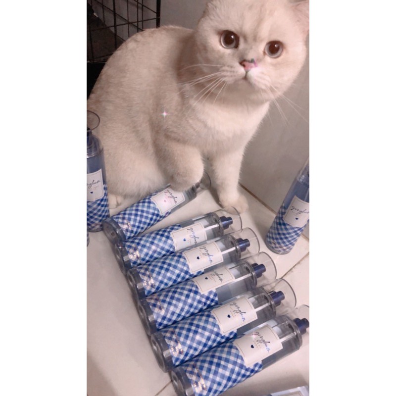 Xịt thơm toàn thân Body Mist Bath & BodyWork Gingham (236ml) | BigBuy360 - bigbuy360.vn