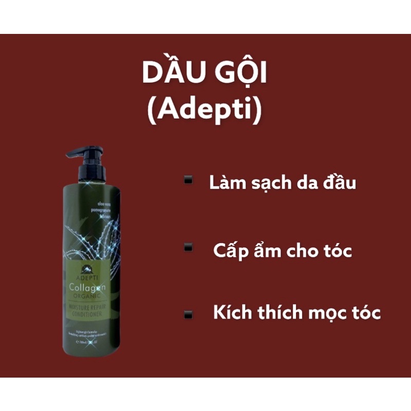 Gội xả dưỡng sinh ADEPTI