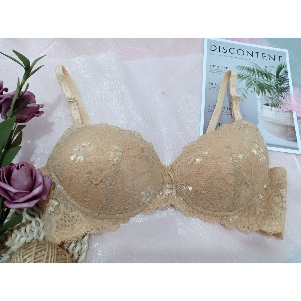 Áo Ngực Ren Chìm, Mút Vừa E343 - 83 - Thương Hiệu 12h