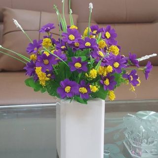Cúc dại. 12k