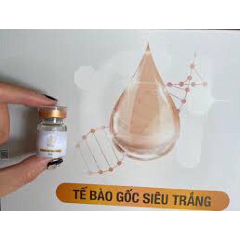 Tế bào gốc trắng da, mờ nám, căng bóng