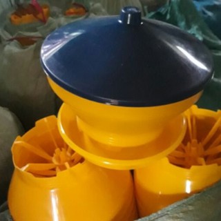 Máng Ăn Gà Con