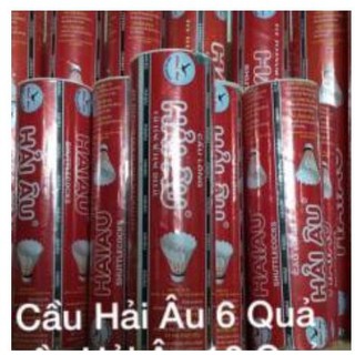 Cầu Lông Hải Âu