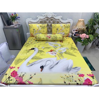 Drap thun lạnh 5D cao cấp ( 3 màu)