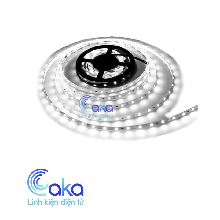 LED DÂY DÁN 5050 MÀU TRẮNG 5M