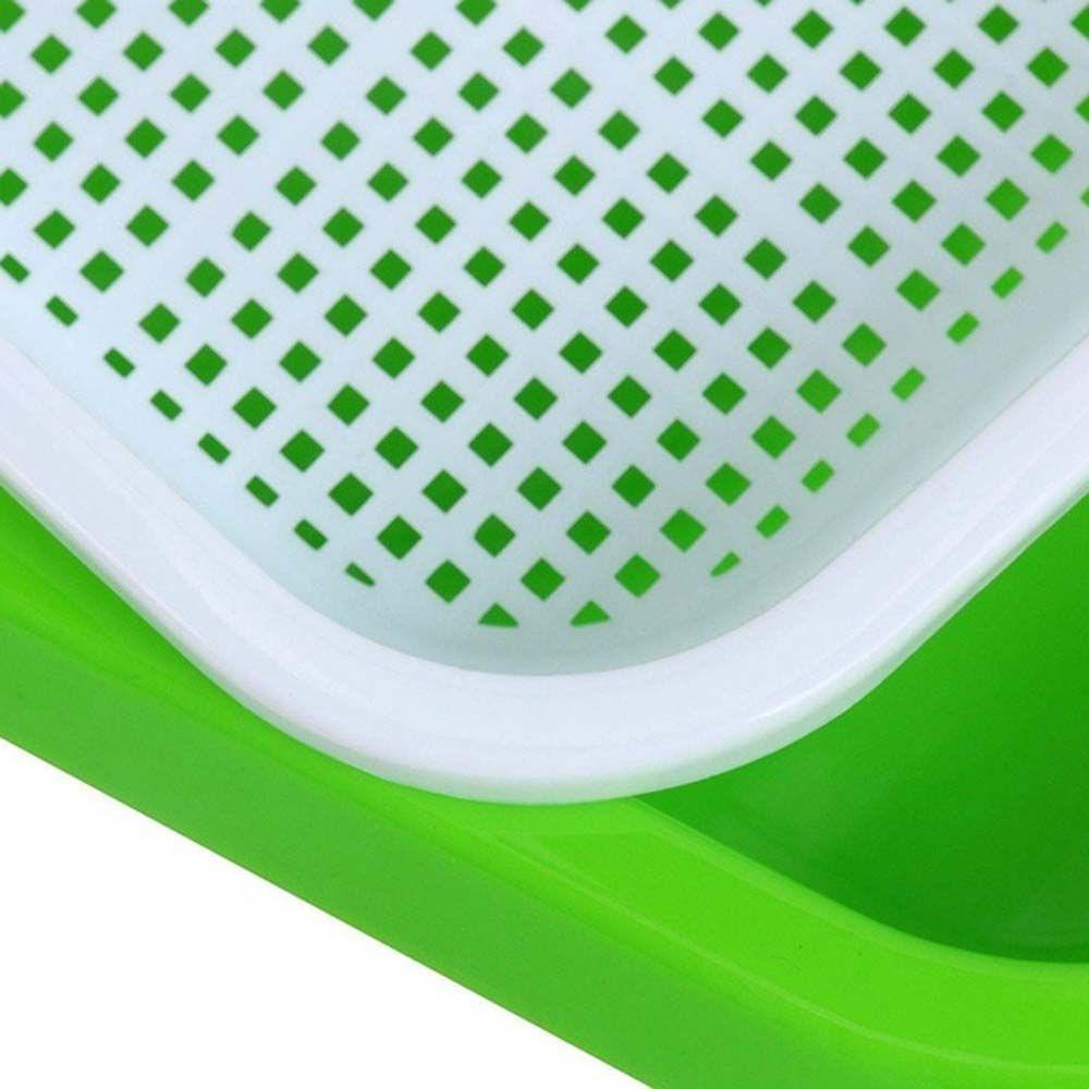 Khay Nhựa Trồng Cây Không Cần Đất Tiện Dụng