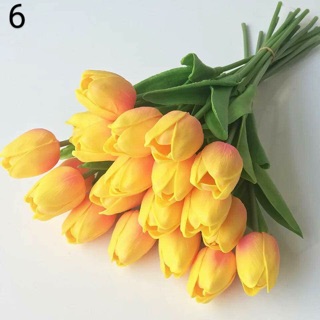hoa chưng tết