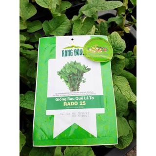 [Rạng Đông] Hạt Giống Rau Húng Quế Rado 25 Thơm Ngon 10gr