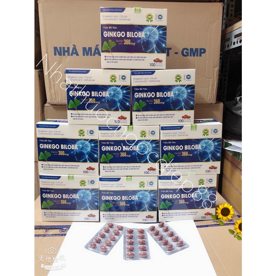 Viên Uống Bổ Não Ginkgo Biloba 360 - Hoạt Huyết Dưỡng Não, lưu Thông Máu Não