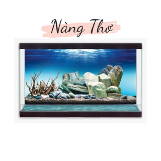 DECAL 3D DÁN HỒ CÁ_TRANH 3D HỒ CÁ