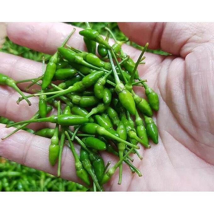 Ớt gió Hà Giang  xóc muối 🌶️cay , giòn, bảo quản quanh năm🌶️ Ớt cứt chuột siêu cay , tiện lợi