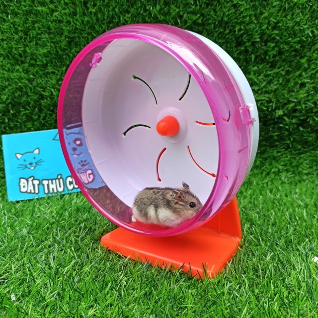 Wheel hamster nhựa mica [Đường Kính 17cm] không tiếng động.
