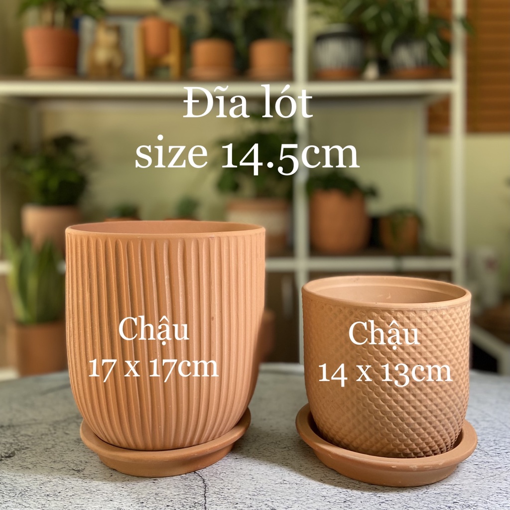 Chậu đất nung nhiều hoạ tiết, Size 17x17cm chậu trồng cây