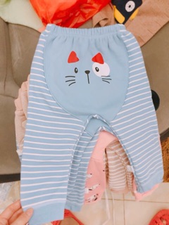 Quần lót nỉ mông thú