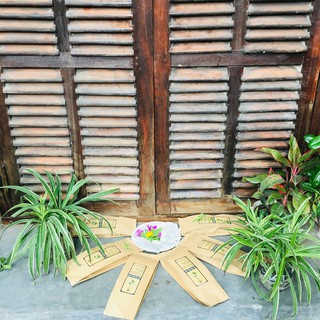5 gói Trà thảo dược thải độc gan Đông Y cao cấp Thông Cát [giải rượu, tăng cường miễn dịch, giải độc cơ thể]