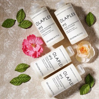 Dầu xả Olaplex No.5 – 250ml