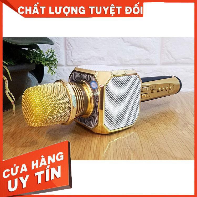 Micro Karaoke Kèm Loa Bluetooth SD10 Sotate - Hàng Nhập Khẩu - Hàng nhập khẩu