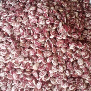 Đậu ngự nhà trồng 1 kg